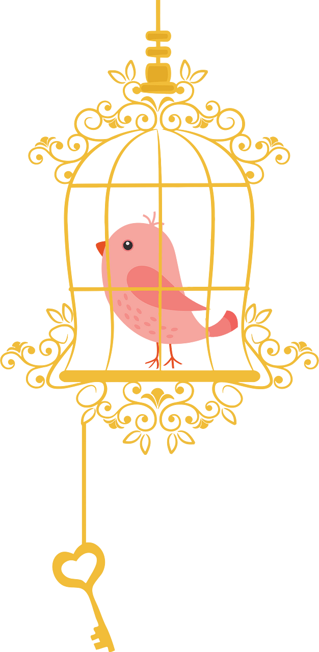 Birdcage with key