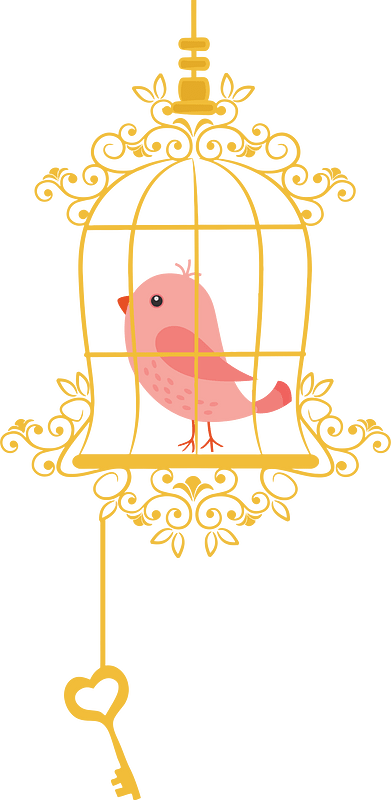 Birdcage with key