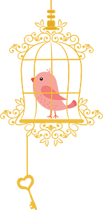 Birdcage with key