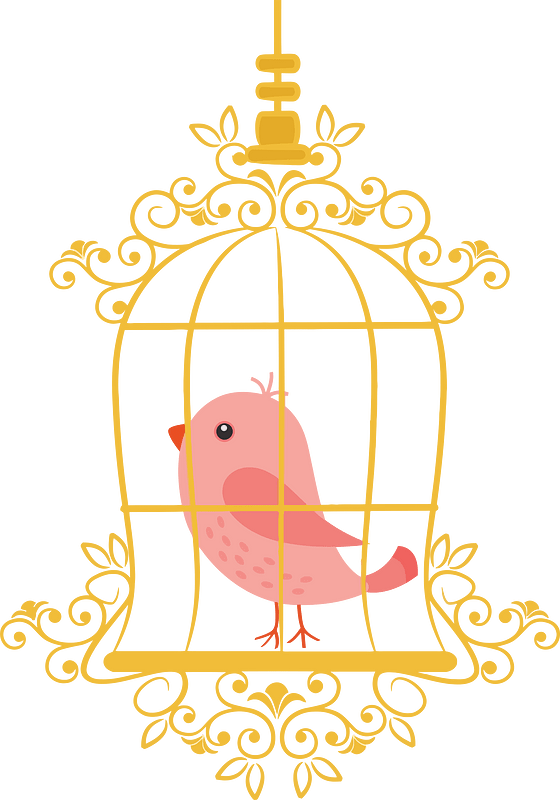 Birdcage with bird
