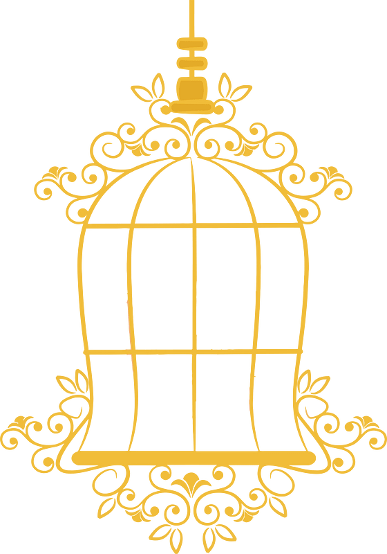 Empty birdcage