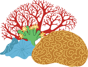 Corals