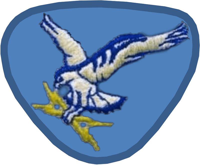 Former US Air Force 1041st SPS beret flash