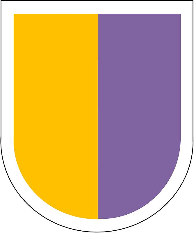 Former US Army Reserve Special Operations Command Beret Flash