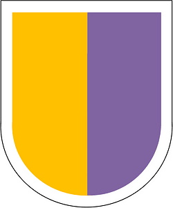 Former US Army Reserve Special Operations Command Beret Flash
