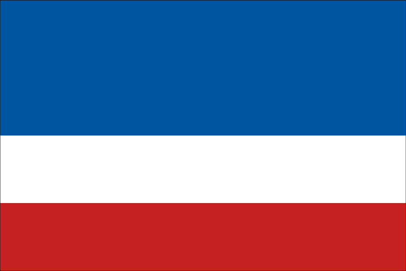Flag of Rusyns 2007 without coat of arms