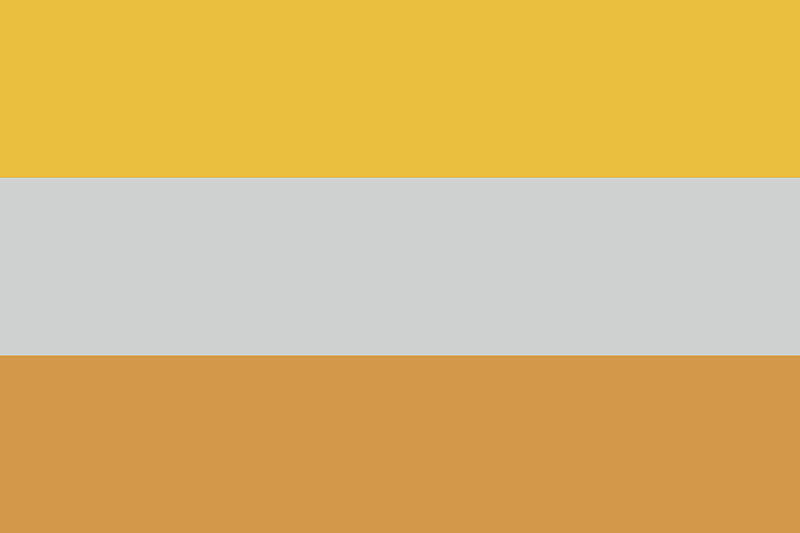 Disability flag