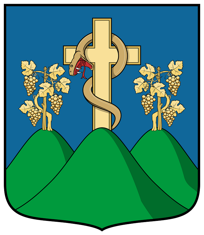 Coa Hungary Town Tokaj