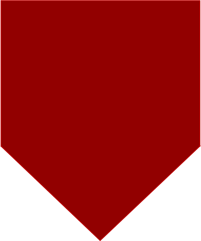 Former US Army 1st Cavalry Division Support Command-15th Support and Transport Battalion-B Company Beret Flash