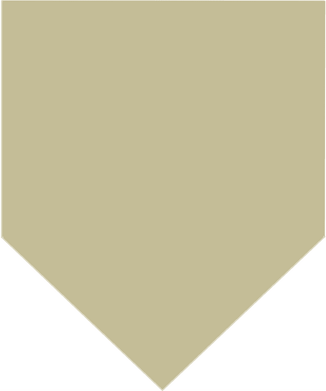 Former US Army 1st Cavalry Division Support Command-15th Support and Transport Battalion-A Company Beret Flash
