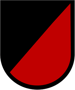 Former US Army 222nd Aviation Battalion Beret Flash