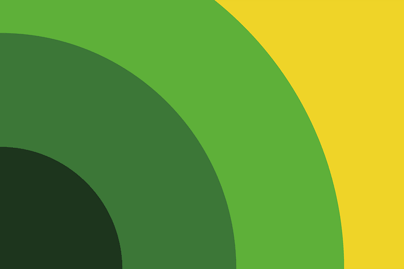 Mental Health Flag