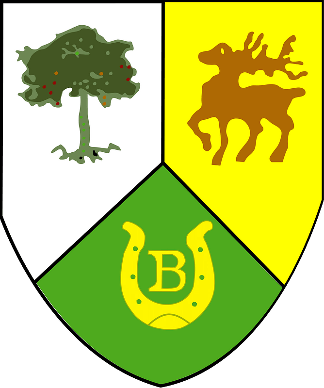 Bytnica