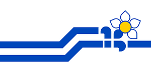 Flag of the Franco-Colombiens