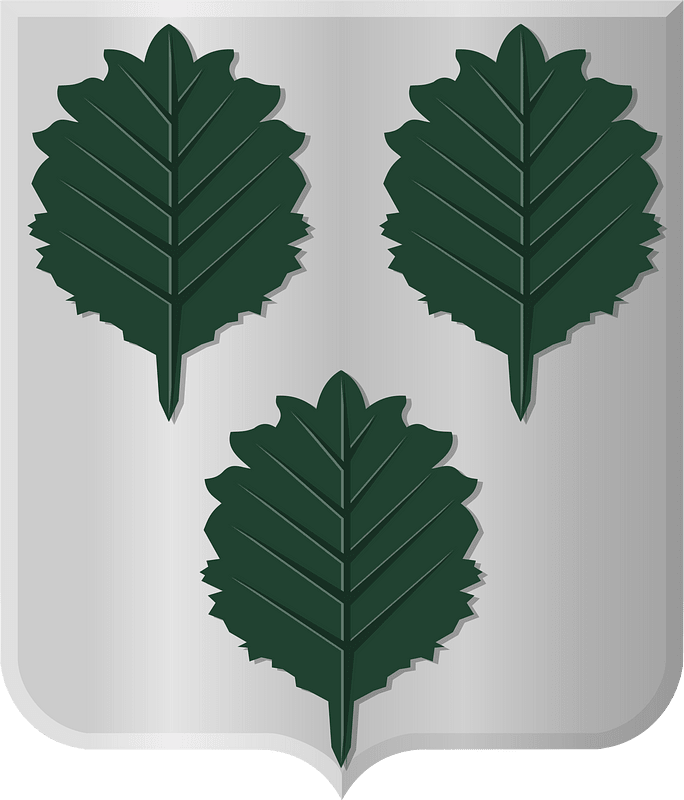 Coat of arms of Oldebroek