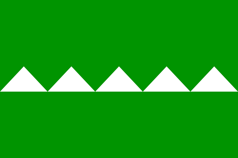 Flag of Salinas, Puerto Rico