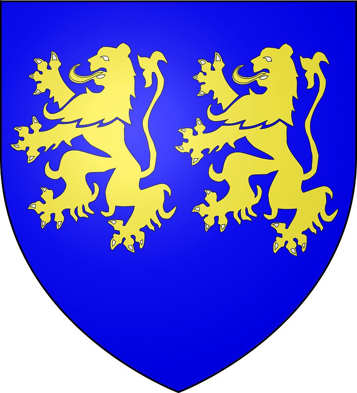 Blason Montaigu