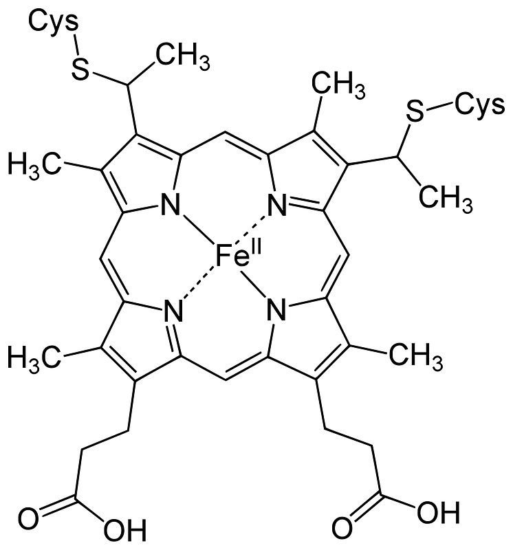 Heme c structure