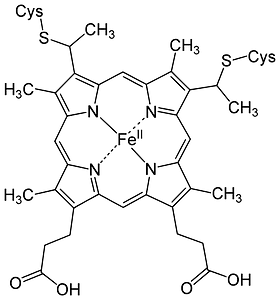 Heme c structure