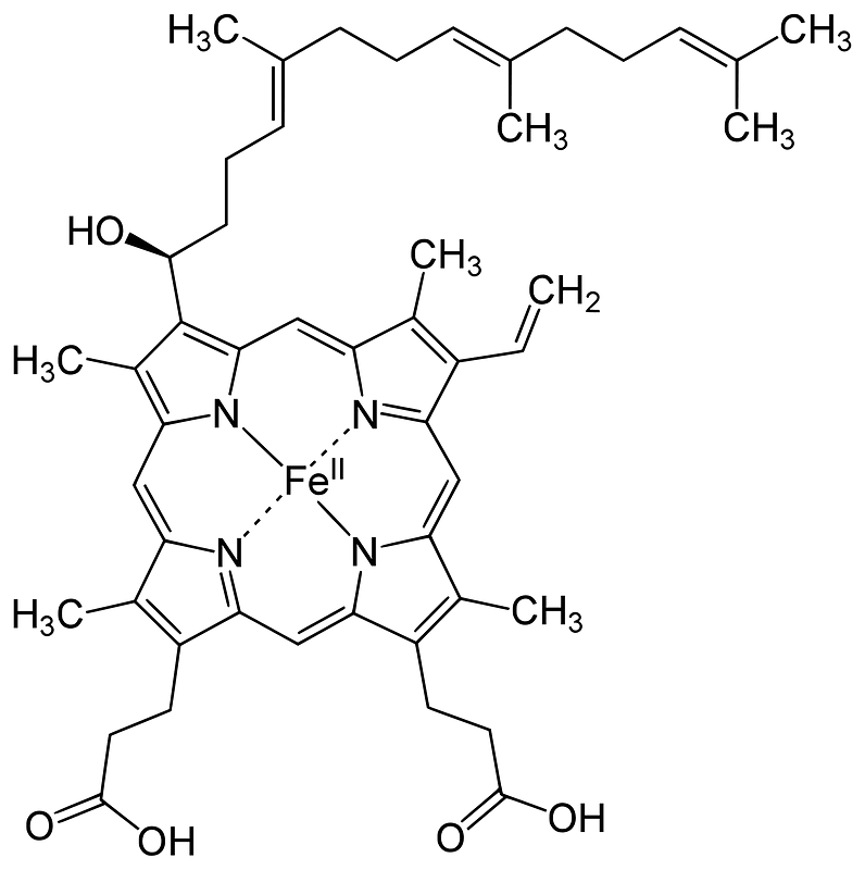 Heme o structure