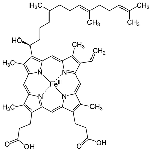Heme o structure