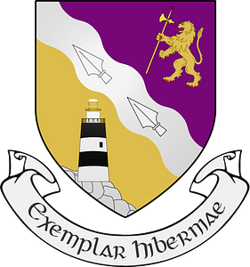 IRL COA County Wexford 3D
