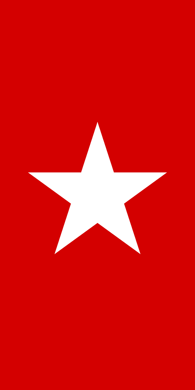 Fin Flash of Chile – Army Aviation