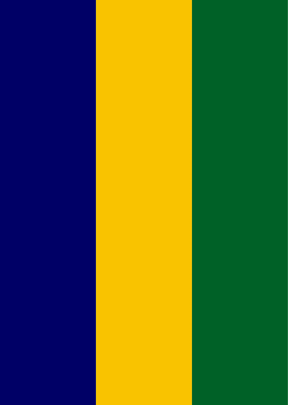 Brazil Naval aviation fin flash