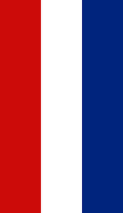Fin flash of the USA 1918-1919
