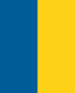 Swedish Air force finflash