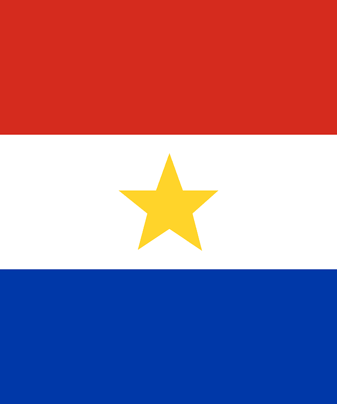 Paraguay Air force fin flash
