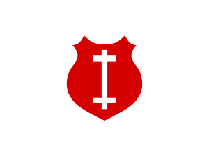 Lithuanian Air Force Roundel 1920-1921