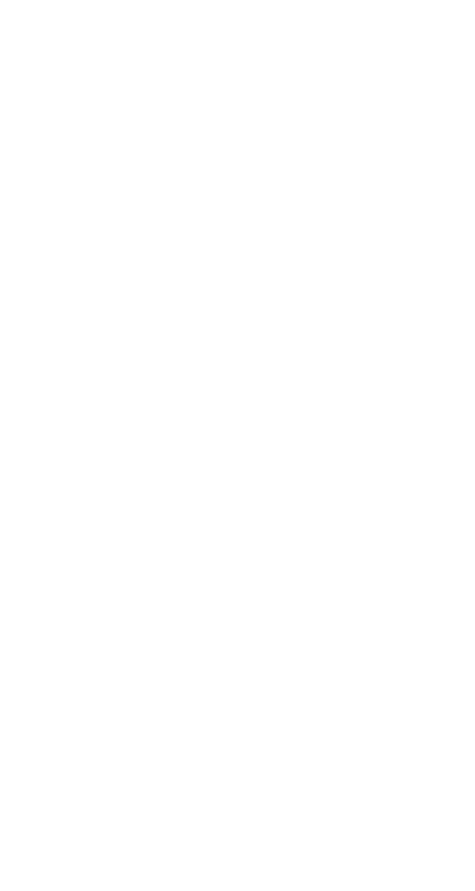 Lithuanian Air Force Roundel 1921