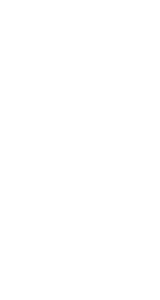 Lithuanian Air Force Roundel 1921