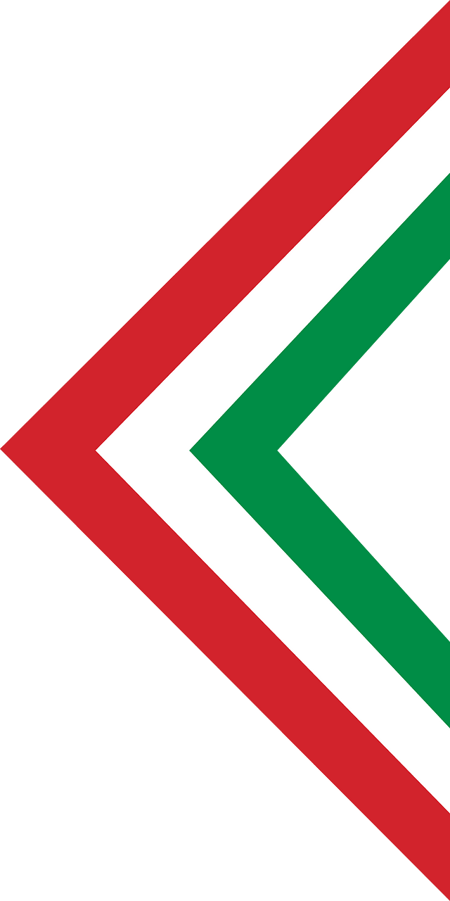 First Roundel of the Hungarian Red Air Force (1919) for the fuselage