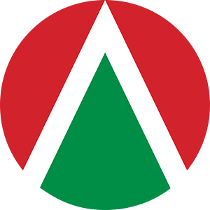 Roundel of the Hungarian Air Force (1990-1991) (wings)