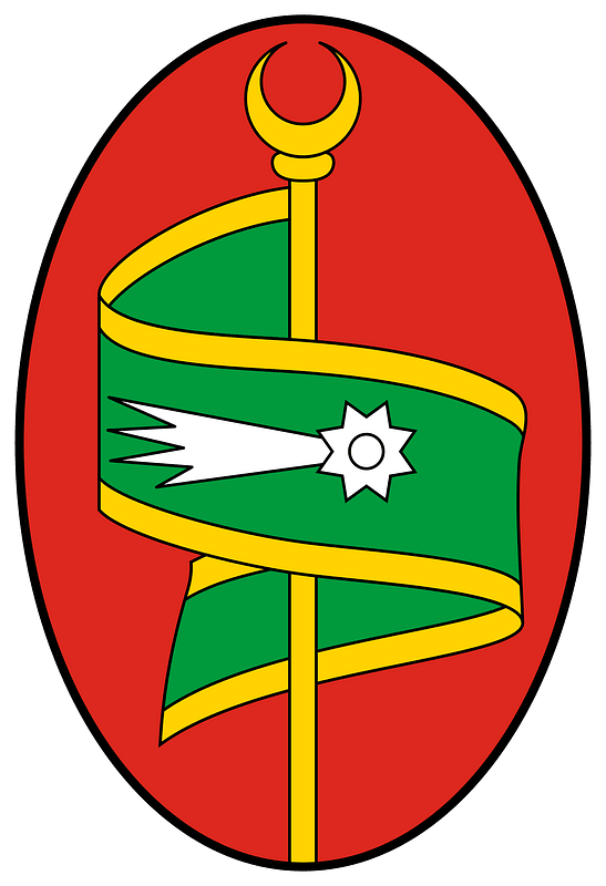 Coa Tunisia Town Tunis History (19th century)