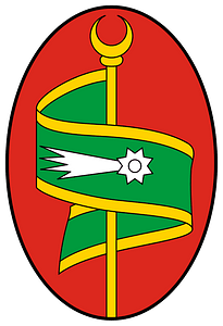 Coa Tunisia Town Tunis History (19th century)