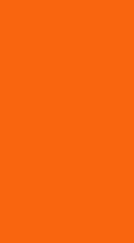 Fin flash of Netherlands 1919-1920
