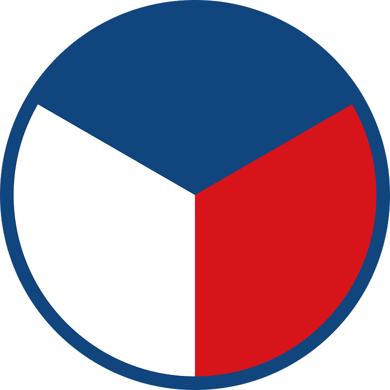 Czech roundel (left wing)