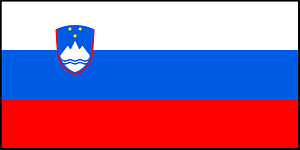 Flag of Slovenia with border