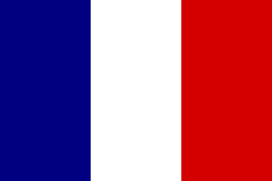 Flag of Madriz