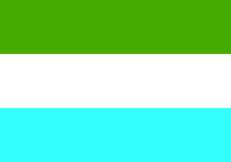 Flag of Torremolinos