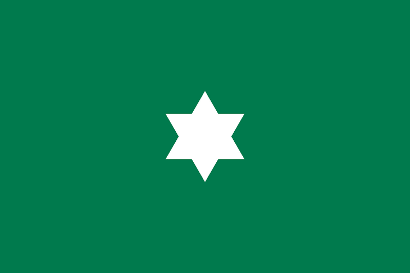 Flag of Stellaland (early 1883)