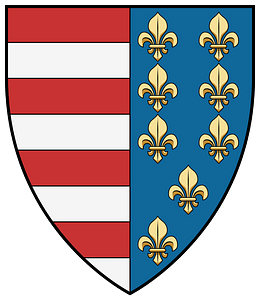 Coa Romania Town Nagysink