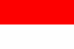 Flag of Venecia (Cundinamarca)