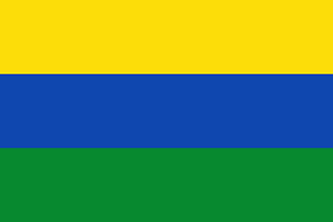 Flag of Guainía