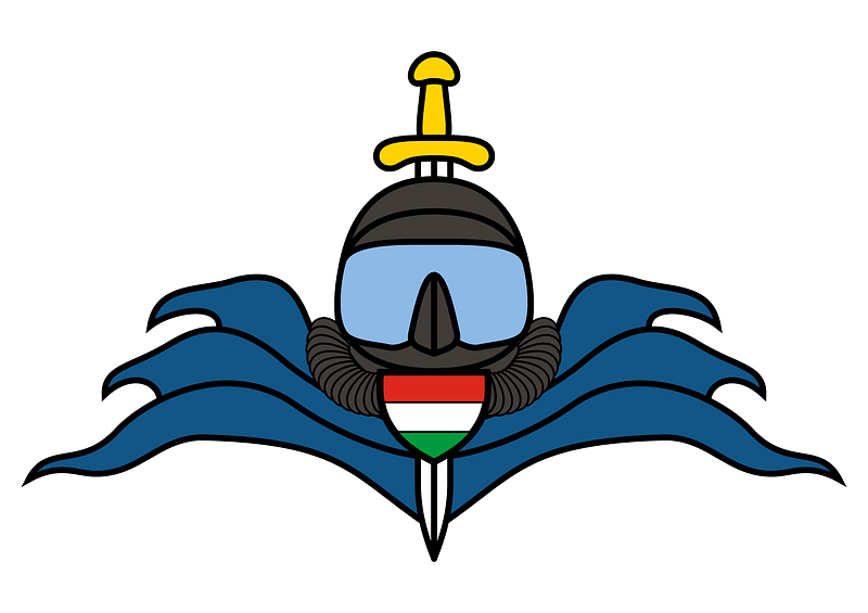 Insignia Hungary Army Brigade 24th Battalion Combat Diver