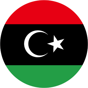 Free Libyan Air Force roundel