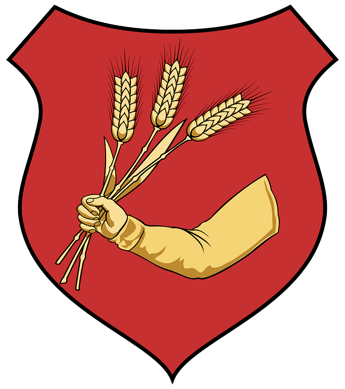 Coa Hungary Town Abony